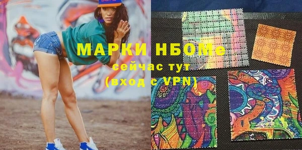 стаф Аркадак