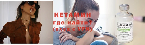 стаф Аркадак
