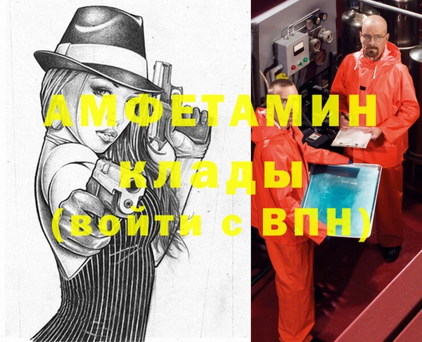 стаф Аркадак