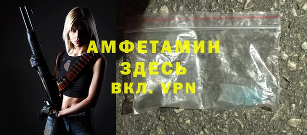 стаф Аркадак