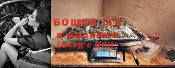 стаф Аркадак