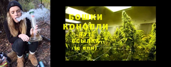 сатива Протвино