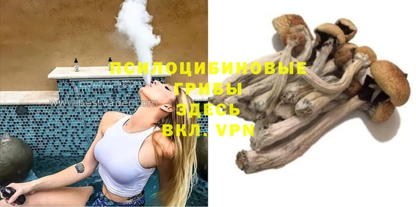 винт Арсеньев