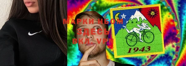 стаф Аркадак
